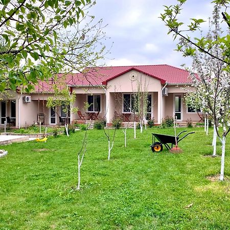 Cozy Family Cottages Vendam Kültér fotó