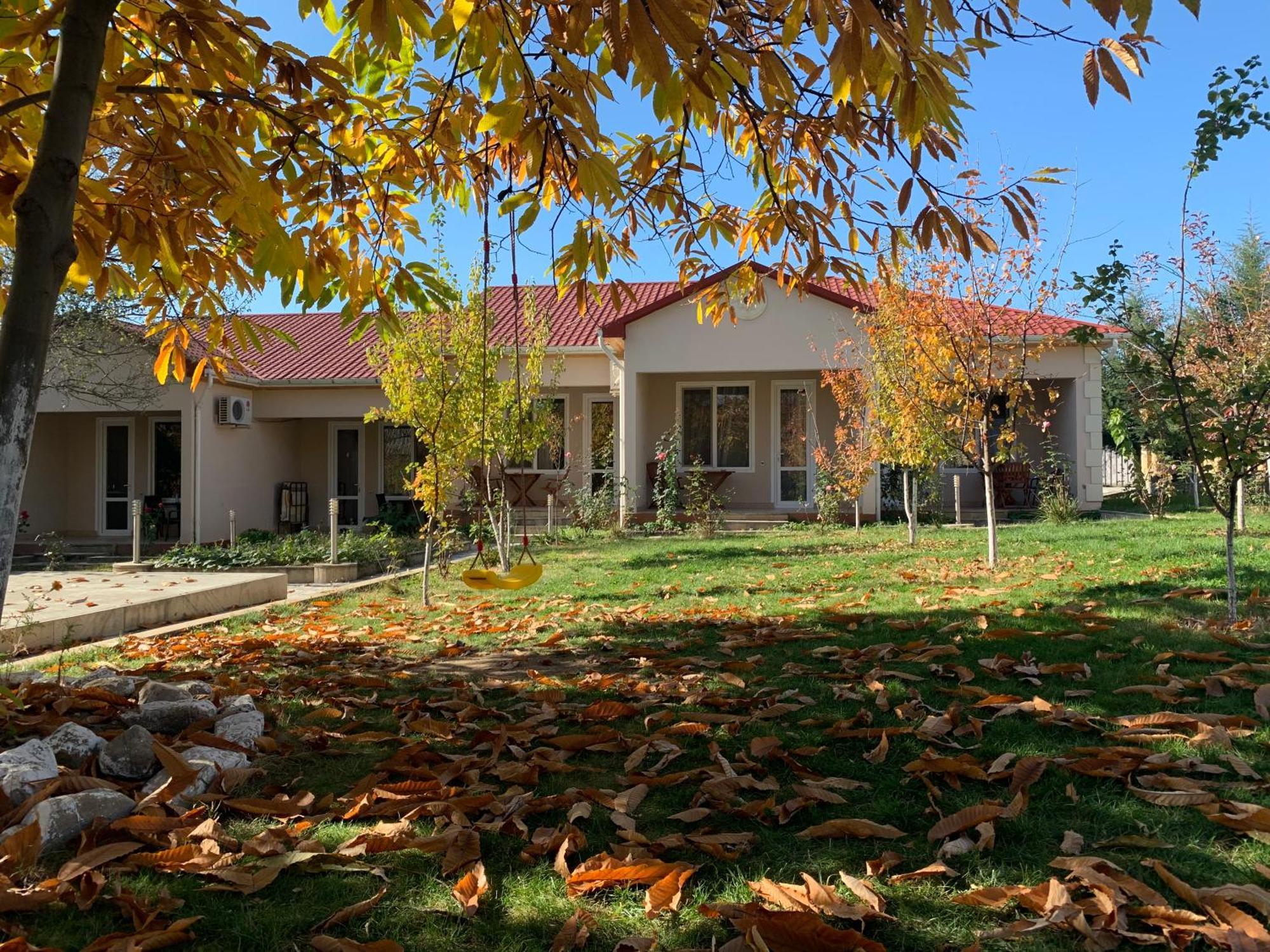 Cozy Family Cottages Vendam Kültér fotó